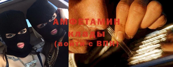 дмт Бородино