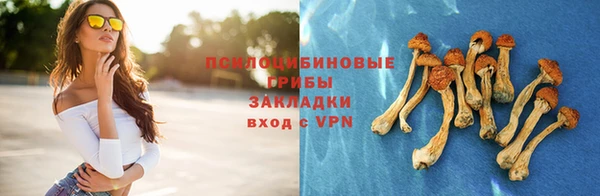 дмт Бородино