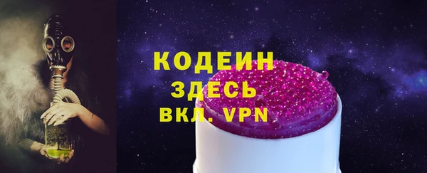 дмт Бородино