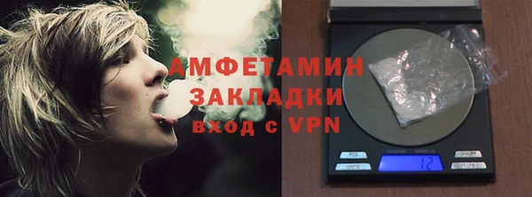 дмт Бородино