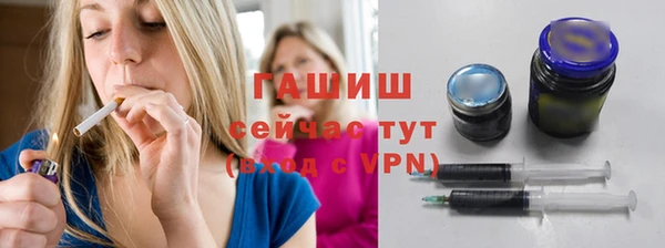 дмт Бородино