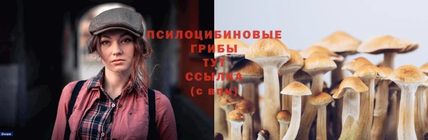дмт Бородино