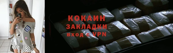 дмт Бородино