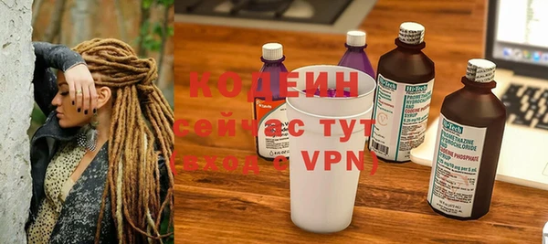 дмт Бородино