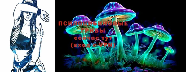 дмт Бородино