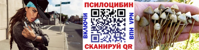 Псилоцибиновые грибы мухоморы  Нижний Тагил 